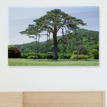 바보사랑 아크릴액자 장수의상징소나무(대형).꾸밈, 상세 설명 참조