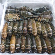 동아씨푸드 크레이피쉬 민물가재 마라롱샤 800g +소스포함, 1개, 13-15미 800g + 소스