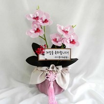 루시 비누꽃 호접란 (양난) 화분 고급형, 비누호접란 화분 - 고급형
