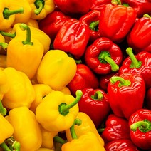 야채삼촌 못난이 파프리카 빨강 노랑 혼합 파프리카 1kg 2KG 5kg 피망, 5kg(1개), 1개