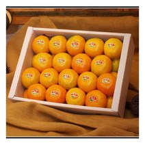 [감사선물]제주 하우스 감귤선물세트 5kg(55과 내외)