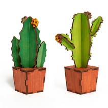 만들기자랑 선인장 만들기/ 나무꾸미기 팬시우드 식물 만들기재료, 선인장만들기, 알로에