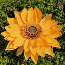 자이언트플라워 자이언트해바라기 페이퍼플라워 오픈기념할인, 큰꽃