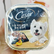 [시저 Cesar] 허브 타임과 호박 닭고기 사료 100g X 3팩, 단품, 단품
