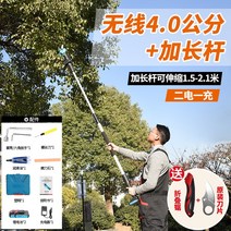 자동전지가위 충전식전정가위 정원가위대형 전동전정가위 꽃가위 전지가위 전기전지가위 다목적가위 전정가위 충전식전동가위 장대정원가위, 무선 4.0센티미터 + 2개의 배터리 + 롱바