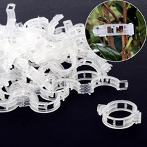 VEDANA 식물고정타이 가든타이