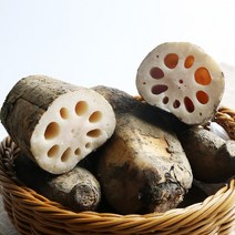 [율스키친] 경산 산지직송 무농약 연근 경산연근 1kg/2kg, 통연근 1kg 정품 상