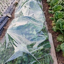 가든럽 텃밭용 투명 보온비닐 0.03 x 1.8 x 10m 농사용 주말농장