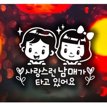 사랑스런 남매 트윙클 자동차스티커-화이트 자동차용품 익스테리어용품 아기가타고있어요 자동차스티커 자동차스티카 차량용스티커 W495AA6, 본상품선택