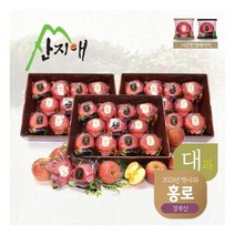 산지애 2023년 햇사과 홍로 9kg (3kg*3박스) / 대과