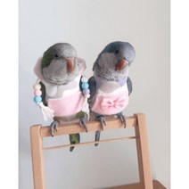 앵무새 옷 코뉴어 새 모란 겨울 털 리본 핑크 연핑크 소형 중형 따뜻한 의류, 앵무새종류 배송요청에 적어주세요., 후드가 없는 원피스 똥 주머니