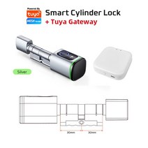 지문자물쇠 안전고리 사물함자물쇠 Tuya-앱 지문 RFID 카드 블루투스 유로 실린더 스마트 도어 잠금 알렉, 01 K1TYS30 30 GA_03 A40B40