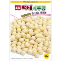 (콩씨앗종자) 백태콩(메주콩)(50g), 1개