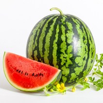 당도선별 수박, 1개, 5kg