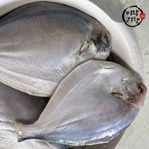 미각기행 손질한 병어 2미(240g 내외), 단일옵션