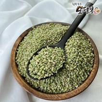 힘찬농부 2022년 국산 녹미 녹진주 녹색쌀, 1포, 2kg