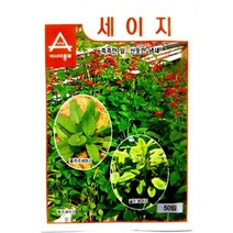 (허브씨앗종자) 세이지(50립) S2941