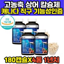 SHARKCARTILAGE CALCIUM 어골 청상어 임산부 칼슘제 12개월분 프리미엄 플러스 샤크카트리지 고함량 칼슘 보충제 뼈 관절 연골 영양제 상어연골 뮤코다당단백