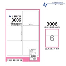 레이테크 박스 소포 물류관리용 라벨지 폼텍 호환 100매, 물류관리용 6칸 (폼텍 3116 호환)