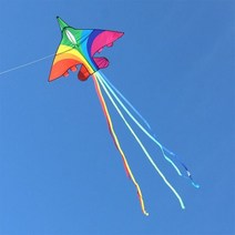 스포츠연 카이트 무지개 비행기 연 비행 전투기 라인 야외 전문 바람 공장, Rainbow 50m line