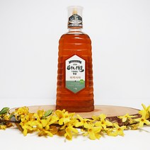 [반석농원] 3년 자연숙성 토종벌꿀 아카시아 1kg 튜브형, 1병