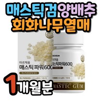 매스틱검 정 정제형 알로에베라겔 동결건조 분말 프락토올리고당 중년 여성 남성 회사원 직장인 40대 치커리 브로콜리 감초 양배추 회화나무열매 히알루론산 마그네슘 유산균