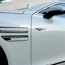 JS automotive 자동차 슬로건 엠블럼 빈티지 휀다 뱃지 도장 도면 튜닝 가니쉬 몰딩 실외 드레스업 용품, 04_르노_운전석-레드