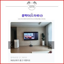 없음 [반값화분] MAIN-대형콤팩타130(드라세나) 직접배송 축하화분 개업화분 거실화분 카페화분 인테리어화분 아레카야자 극락조 알로카시아 파키라 고무나무, 클래식그레이