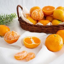 제주 감귤 서귀포 밀감 추석 명절 가정용 선물세트 경매장직배송 2.5kg 5kg 10kg띠용청과, 5kg