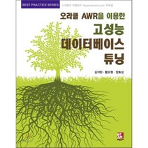 오라클 AWR을 이용한 고성능 데이터베이스 튜닝, 비팬북스