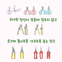 가정용 다목적가위 분재 꽃꽂이 열매수확용 만능가위 10종, 4_직선 2p세트-1304397