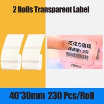 바코드 라벨 프린터 운송장 택배 감열 네임스티커 프린터NIIMBOT B21 무선 열전 사 프린터 휴대용 라벨 핸, 10 2 Volumes(4)