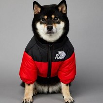 2023 SUPREPET패딩 개 겨울 옷 따뜻한 방풍 솔리드 코트 코튼 디자이너 대형 강아지 액세서리, 빨간+S