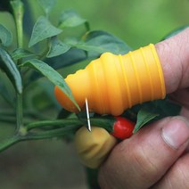 고추 채소 야채 수확 따기 톱날 엄지 엄지칼, 5-철선고무골무3개