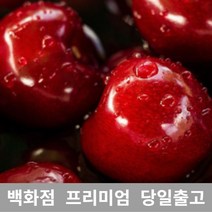 [특등급선별] 체리 5kg 바이오체리 생체리 레이니어체리 체리가격 체리종류 국산체리 체리농장 칠레산체리 워싱턴체리 국내산체리 미국체리 캘리포니아체리 미국산체리 항공체리 체리박스