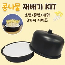 콩나물키우기 키트 콩나물재배기 식물재배기 야채 새싹, 중