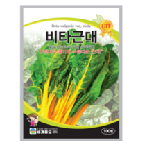 비타근대 씨앗 100립 노랑근대 종자 세계종묘
