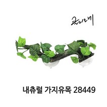 클리오네 내츄럴 가지유목 [28449]