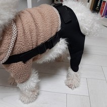 강아지 반려동물 슬개골 무릎 관절 다리 보호대 쓸개골 탈골 보조기, S