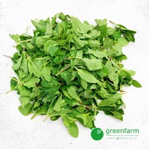 스피아민트 생잎 50g 100g