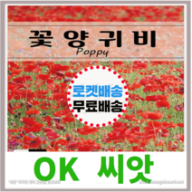 [OK씨앗] [꽃양귀비꽃] 양귀비씨앗 종자(오케이씨앗), 1g