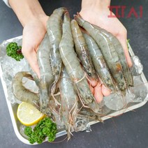 [파시] 국내산 급냉 흰다리새우 냉동새우 600g (20~23미), 600g(20~30미), 1개