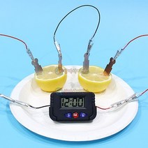SA 안전 집게 과일전지(디지털시계)(1인)-SSA, 상세페이지 참조