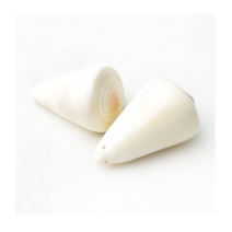 조개껍질 고둥 소라 불가사리 껍데기모음, 45 타공)청자고둥 [2입]