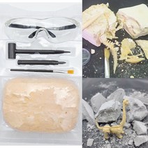 (무료배송)대형 공룡 화석 발굴 키트 고글포함 과학실험키트, 쥬라기공룡화석