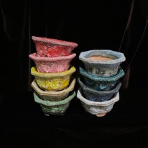 예운: 거품 육각 콩분 9색상 용인수다육, 빨간색