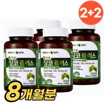 식약처 인증 기억력 영양제 트리플 징코 플러스 은행잎 추출물 혈행 개선 뇌 두뇌 건강 영양제, 4병, 60정