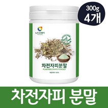 oki 차전자피 가루 고운 분말 입자 베이킹 차전자 식이섬유, 4통, 250g