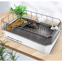 거북이 아크릴 어항 반수생 쉼터 수족관 구피 키우기 소형 대형 특대형, 01.어항 단품, 그린