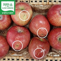 GAP 친환경 저탄소인증 산지직송 경북 영주 사과 부사 못난이사과 흠과 3kg (9~13과), 단품